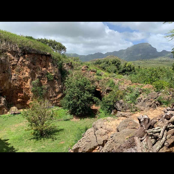 Meet your Posher, Aida - Picture 1 of 1